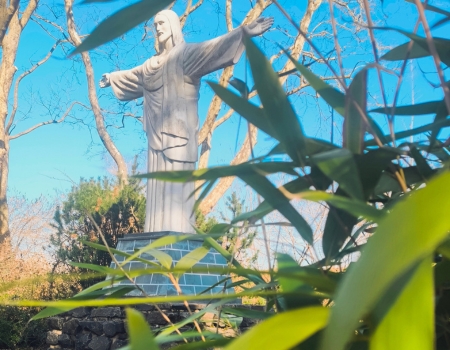 Galerie_ArteCare_Pflegezentrum_Bexbach (5)